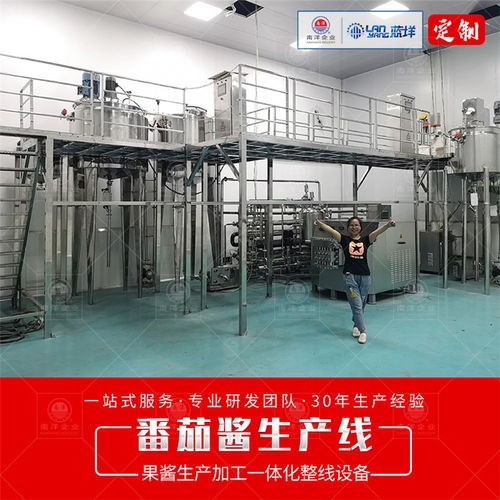 广州南洋食品机械 全领域专用设备典范——果酱生产线与塑料加工技术的深度融合